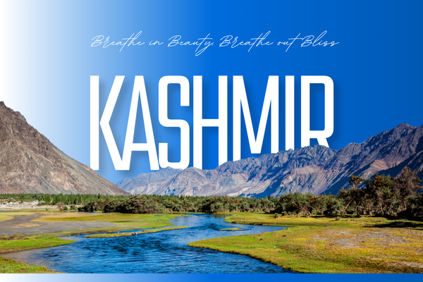 Travel Agency In Delhi