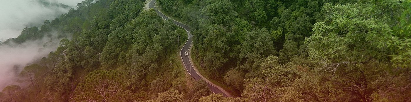 best tour and travel agency in delhi