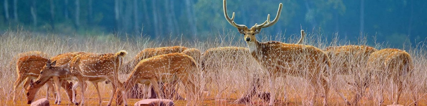 uttarakhand tour packages