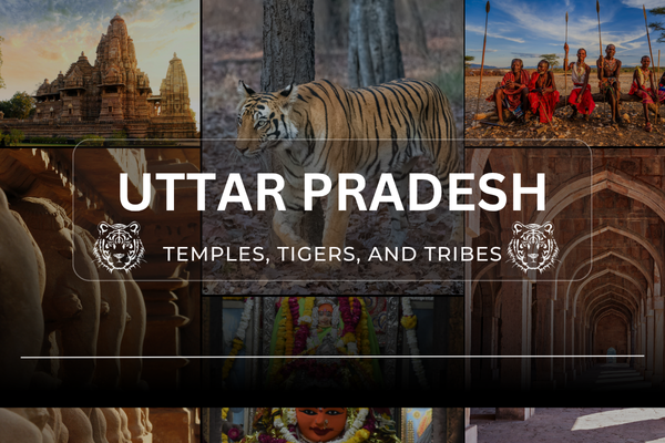 Travel Agency In Delhi