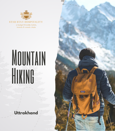 best tour and travel agency in delhi